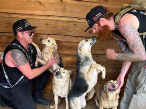 No Dogs Left Behind founder Jeffrey Beri, left, and veterinarian Matthew Adams meet some of the many dogs being accommodated at a shelter in Ukraine.