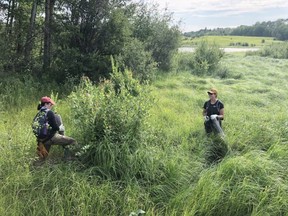 Delaney Schlemko, northeast Alberta Natural Area Manager for Nature Conservancy of Canada, said there were 10 volunteers and three staff members working for about five hours to remove the fencing. Photo supplied