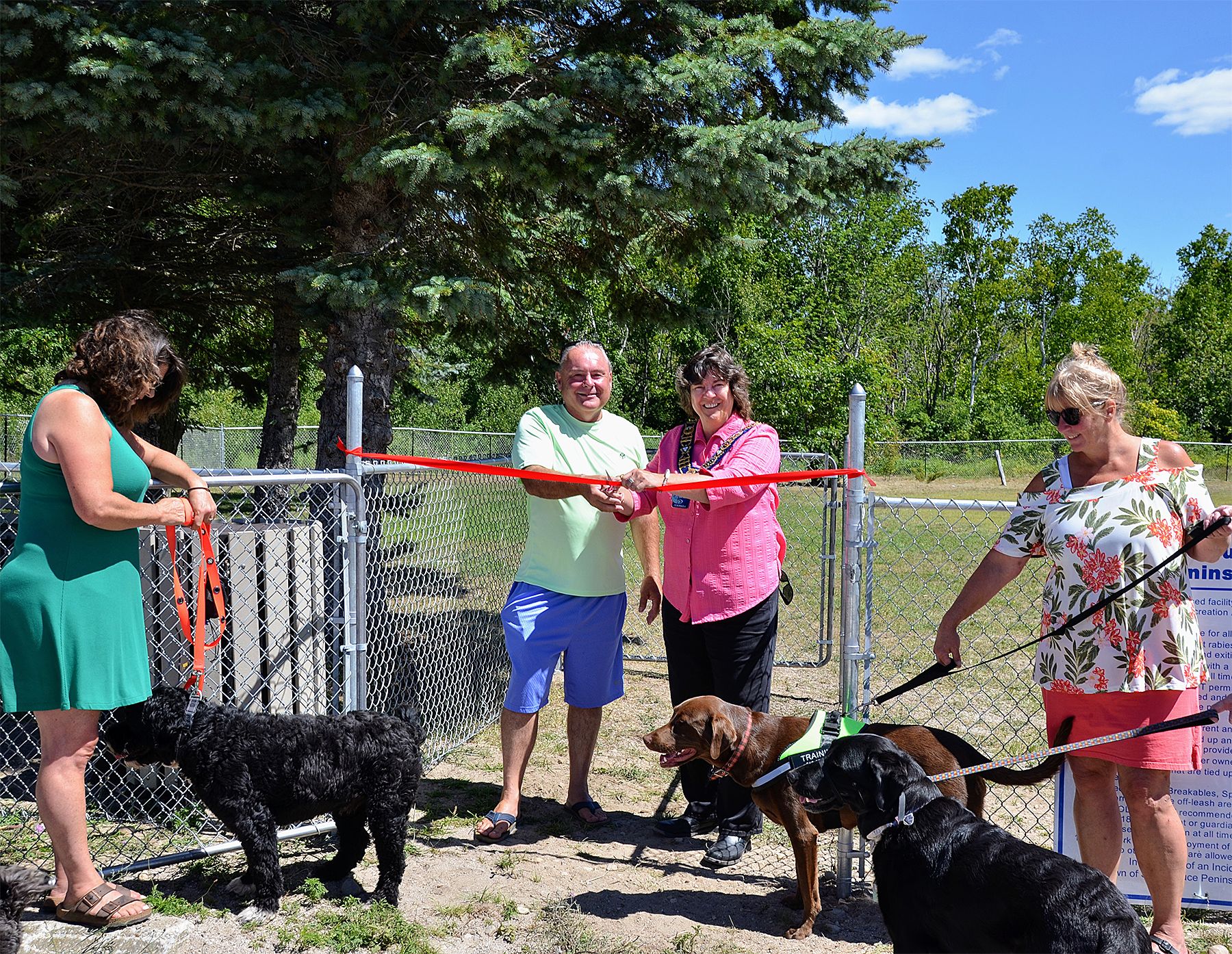 Permanent Dog Park Opens In Sauble Beach Owen Sound Sun Times permanent-dog-park-opens-in-sauble-beach-owen-sound-sun-times