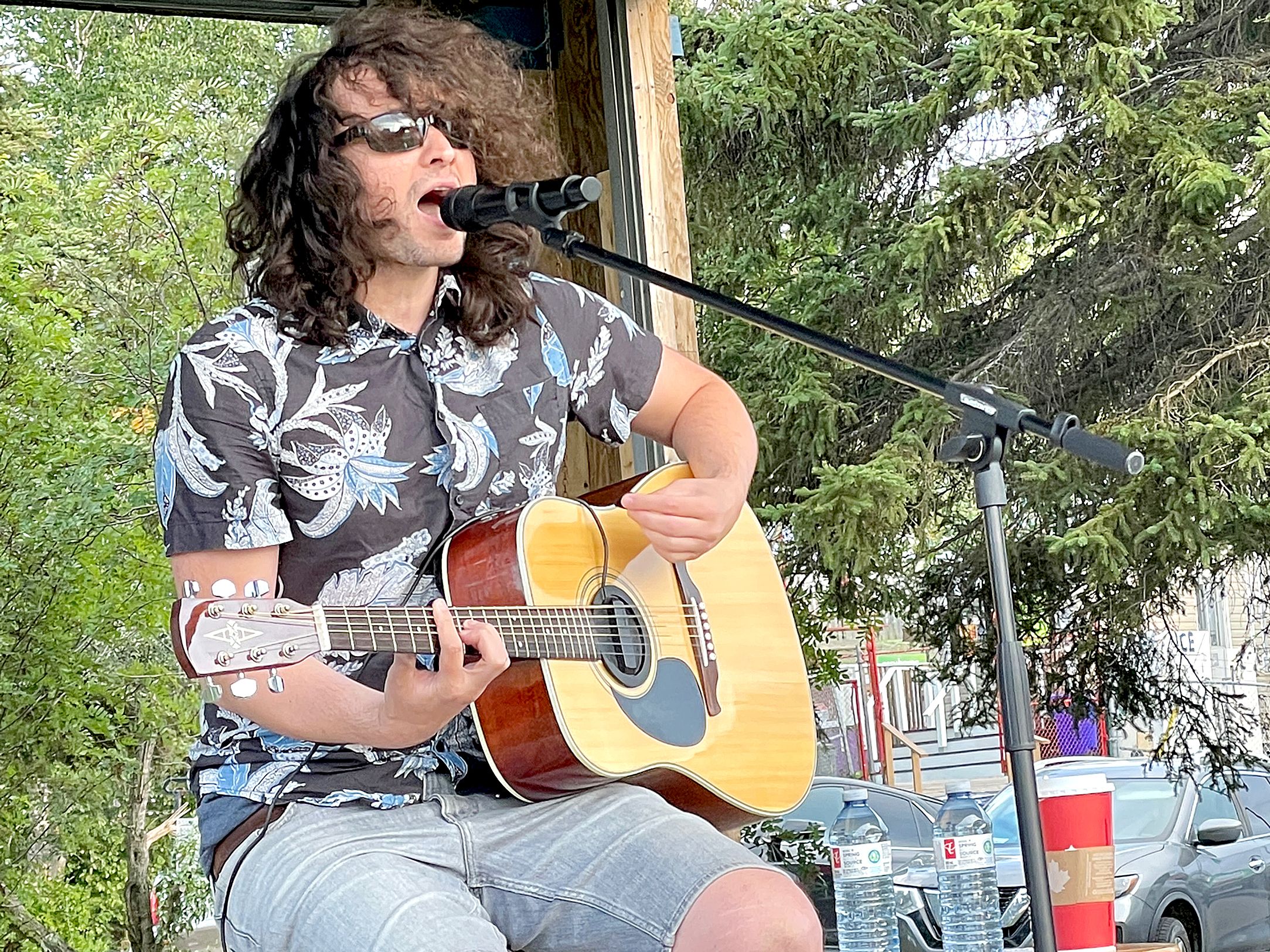 Alternative acoustic sounds fill air at Hollinger Park The Daily Press