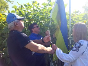 Orest Tiahur, left, Roger McRae, a Rotary Sunrise past-president, and Nina Zeleney, raise the Ukrainian flag during Saturday's grand opening of the 'Salute to Ukraine Rotary Park,' located at the corner of Grand Avenue East and Victoria Avenue in Chatham.