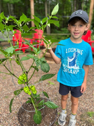 First place in the ages six to eight category of the Laurentian Valley Junior Gardeners Contest was Mason Behm.