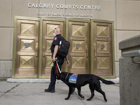 A police officer and a service dog enter the Calgary Courts Centre on May 17, 2021. A Calgary man who bilked his clients out of millions of dollars in a Ponzi scheme is scheduled to be sentenced today. Arnold Breitkreutz was convicted in June of fraud over five thousand dollars, for what the Crown described as a multimillion-dollar scheme in which investors believed they were putting money into safe first mortgages. THE CANADIAN PRESS/Jeff McIntosh