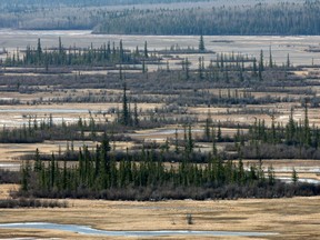 The Salt Plains in Wood Buffalo National Park in a 2007 file photo. Grant Black/Postmedia Network