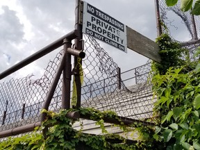 Victoria Park grandstand, deemed unsafe by the city, is seen here on Tuesday, Aug. 23, 2022 in Owen Sound, Ont., overgrown with vines. (Scott Dunn/The Sun Times/Postmedia Network)