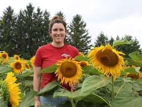 Brantwood Farms co-owner Kara Pate stands among rows of sunflowers on Thursday, Aug. 4. The family farm's Sunflower Festival continues through to Sunday, Aug. 7. MICHELLE RUBY