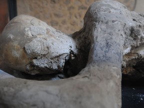 A petrified victim of the volcanic eruption of Mont Vesuvius is exhibited.