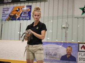 Tristen Marks holding an infant crocodilian at her animal show  in the Long Sault Arena  on Friday August 5, 2022 in Long Sault, Ont. Laura Dalton/Cornwall Standard-Freeholder/Postmedia Network