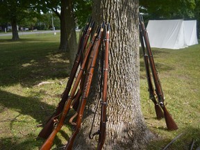 Muskets lined up along a tree as re-enactors paused Saturday August 27, 2022 in South Stormont, Ont. Shawna O'Neill/Cornwall Standard-Freeholder/Postmedia Network