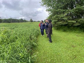 Handout/Cornwall Standard-Freeholder/Postmedia Network
Raisin Region Conservation Authority staff members overlooking a grassland property at the eastern edge of Cooper Marsh to be re-seeded in 2023.
