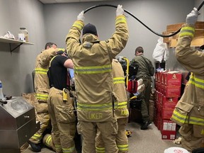 Firefighters and paramedics work to free a workers's hand caught in an industrial breadmaking machine.