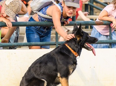 Children pet a dog after the Barkside Dog Agility show at the Cochrane fair on Friday, Aug. 19, 2022.