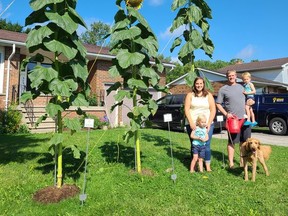 The Bleumer family pose with the giant sunflowers on their front lawn. From left are Tessa with Seth, Evan with Ridley and dog Envie.