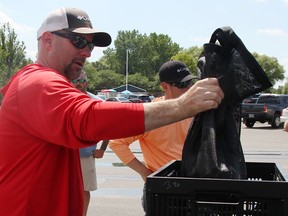 Great Lakes Super Series tournament director Bill Hamilton weighs fish during the Sarnia leg of the tournament Aug.  6, 2022, at the Sarnia Bay Marina.  (Tyler Kula/ The Observer)