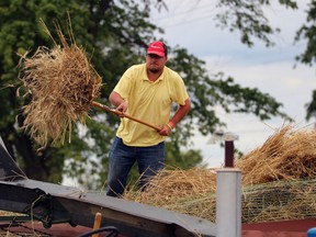Joey Smeekens from Strathroy loads grain into a threshing machine during the Western Ontario Steam Thresher's Association's event at the Forest Fairgrounds on Sunday.  Terry Bridge/Sarnia Observer/Postmedia Network