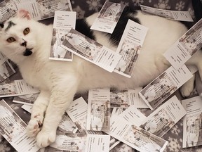 Howie the Fundraising Feline (shown in a bed of raffle tickets) and his pet parent Angela Britton have raised over $100,000 for Purrfect Companions of Norfolk animal rescue since he was adopted in 2017.  Howie died this week just days before Howie's Big Summer Bash fundraiser. The fundraiser will go on Saturday from 1 to 4 p.m. at the Delhi Legion. FACEBOOK PHOTO