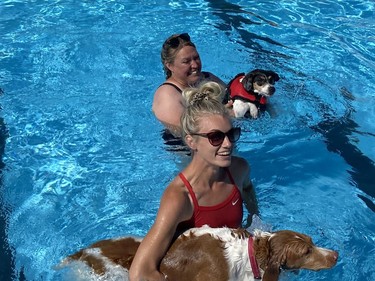 Delhi pool head lifeguard Hannah Scheers, front, of Lynedoch plays with dog Ginger while Vicki Rutherford of Hagersville assists dog Jack in the Delhi pool on Sunday afternoon. A special swimming event for people and their dogs was held to mark the end of the 2022 season at the community pool. SIMCOE REFORMER PHOTO