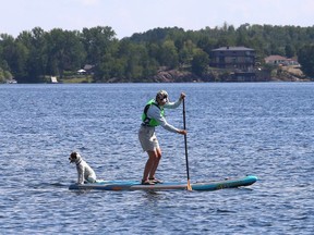 Jo-Anna Dolling and Radar the dog set out on an adventure on a paddleboard on Ramsey Lake in Sudbury, Ont. John Lappa/Sudbury Star/Postmedia Network