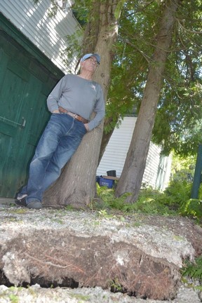 Harry Holst leans against a stand of cedar trees that were heaved off the ground and pushed against his home on the north end of Sauble Beach near the Sauble River Thursday, Sept. 1, 2022, the day after a tornado landed suspected in the area on Wednesday afternoon, snapping trees and damaging homes.