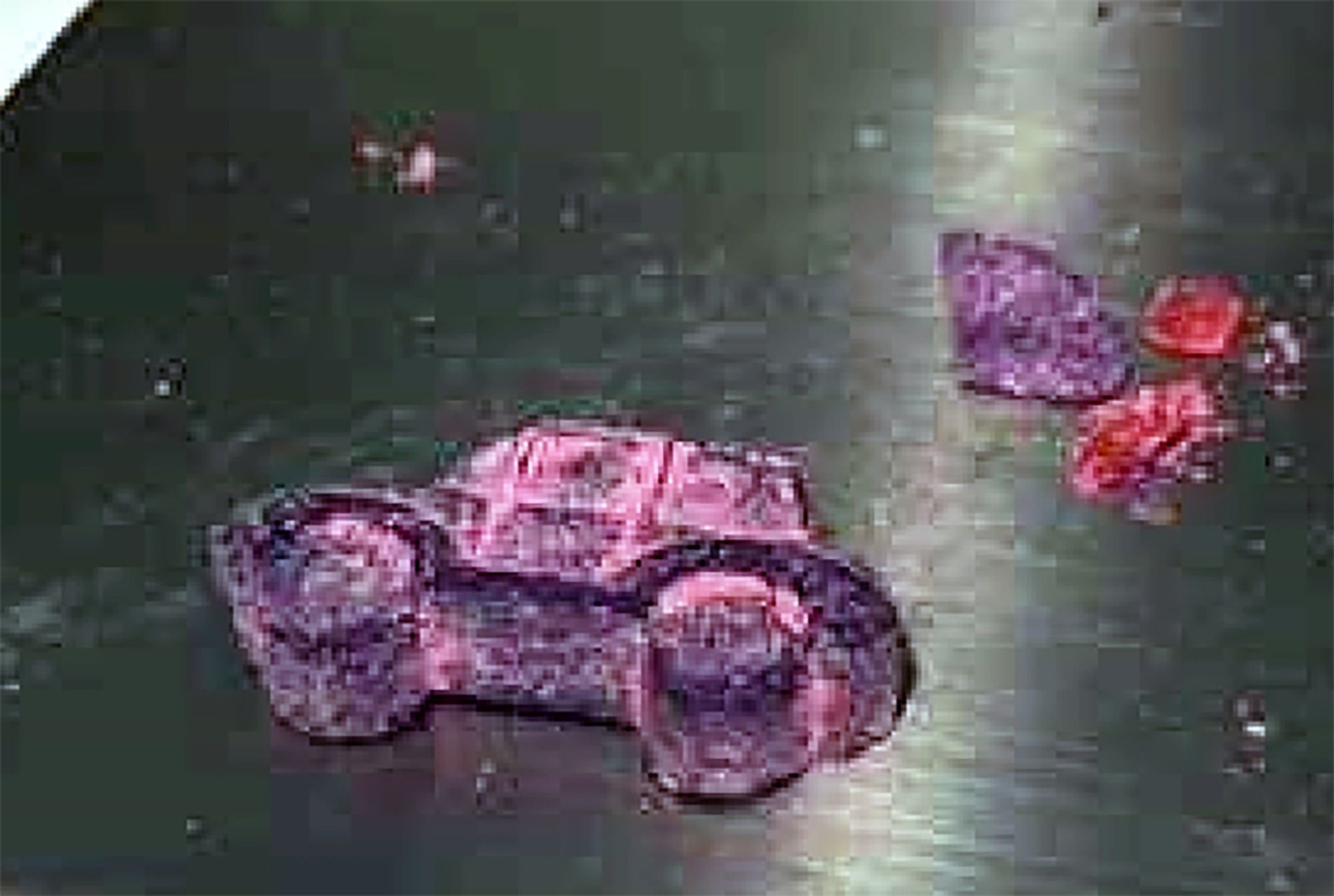 Kingston Police warn about toy car gummy