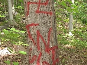 Hate symbols have been spray painted on large trees along a popular walking trail in North Bay off Gormanville Road.