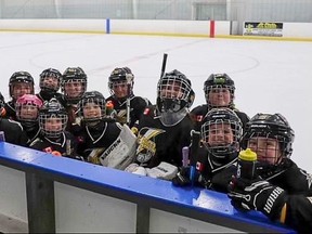 Women’s hockey league dealing with a surprise player shortage