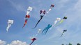 Kites in the Field is being held on Sept. 24 and 25 at Graceland Festival Grounds in Lucknow. Submitted photo.