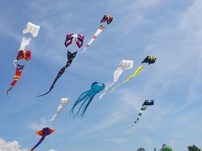Giant whale kites have been flown previously at Kites in the Field in Lucknow. This year's event takes place Sept. 24 and 25. Photo by Hannah MacLeod.