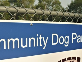 Armour town council is debating creating a dog park in the community.  If there are no obstacles, the facility could be in place by next summer.
