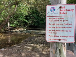 The bird sanctuary at Harrison Park is empty on the afternoon of Thursday, September 22, 2022.  Earlier on Thursday, the city had announced that around 100 birds had been euthanized in the city following an outbreak of avian influenza on the orders of the CFIA.
