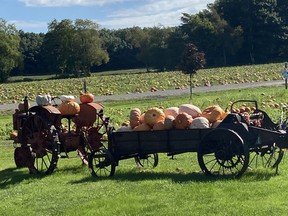 Decorated tractors and wagons help advertise pumpkins for sale at the Szatrowski farm outside Simcoe. Norfolk County farms account for 38 per cent of the pumpkins grown in Canada.