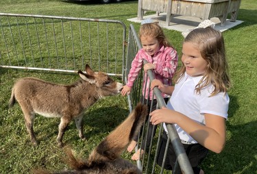From left: Peyton Gilchrist, 5, and Rachel Black, 6, take a look at the animals in the petting zoo during the Lucknow Fall Fair on Sept. 17. Photo by Kelly Kenny/Lucknow Sentinel.