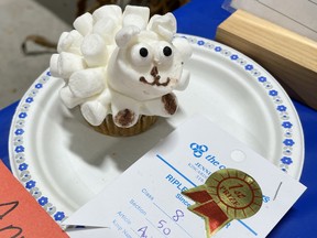 First place animal cupcake at the Ripley Fall Fair. Photo by Kelly Kenny/Kincardine News.
