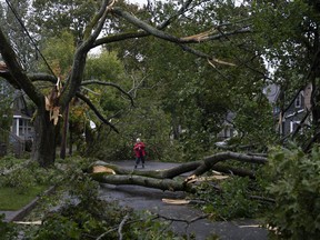 Georgina Scott surveys the damage on her street in Halifax as post tropical storm Fiona continues to batter the Maritimes on Saturday, September 24, 2022. THE CANADIAN PRESS/Darren Calabrese
