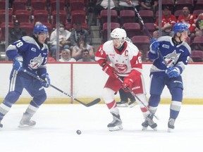 Soo Greyhounds captain Bryce McConnell-Barker in first period pre-season action against the Sudbury Wolves at the GFL Memorial Gardens on Saturday night. The  Hounds picked up a 5-2 victory over the Wolves in the opener for both teams.