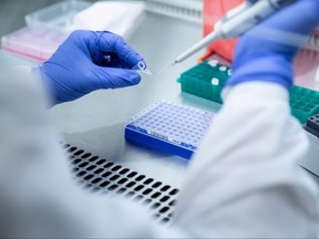 A lab wearing protective gloves is pictured in this file photo.