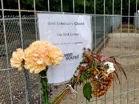 Someone placed these flowers by a sign advising people to stay out of the bird sanctuary in Harrison Park after nearly 100 birds there were euthanized last week because of avian flu contamination. Photographed Monday, Sept. 26, 2022 in Owen Sound, Ont. (Scott Dunn/The Sun Times/Postmedia Network)