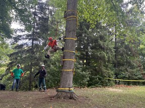 Sheldon Mirco, of St. George, Ont., rappels down a tree in Springbank Park in London on Saturday, Sept. 24, 2022 after participating in the belayed speed climb at the Ontario Tree Climbing Championship.