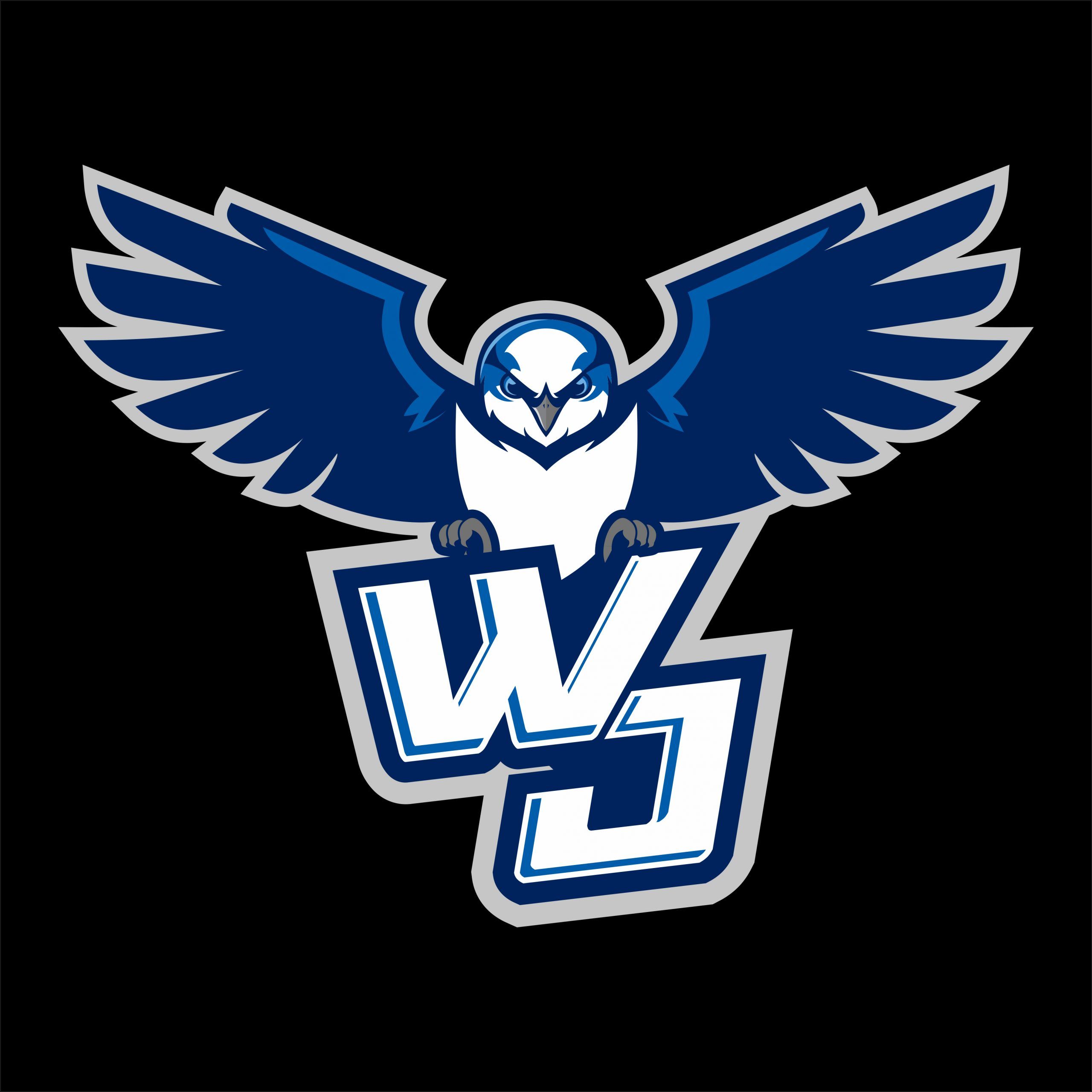 Whiskey Jacks dump Brewers to claim TMBL championship The Daily Press