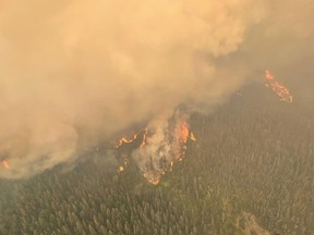The Battleship Mountain wildfire, seen above, was found on Aug. 30 and has surged to cover 28,000 acres.