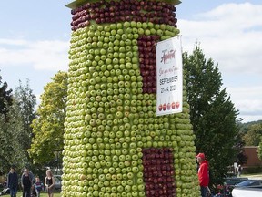 The iconic Apple Lighthouse made an appearance in the 48th edition of the Brighton Applefest parade on Saturday. EVELYN MCLEOD PHOTO