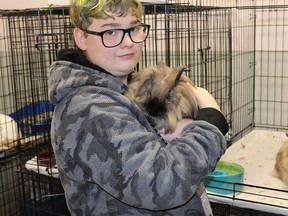 Humane Society volunteer Riley Soules displays a rare lion head rabbit, one of two now at the new state-of-art Quinte Area Humane Society building on Wallbridge-Loyalist Road. The official ribbon cutting ceremony for the facility will take place on Tuesday, Oct. 4 at 1 p.m. JACK EVANS PHOTO