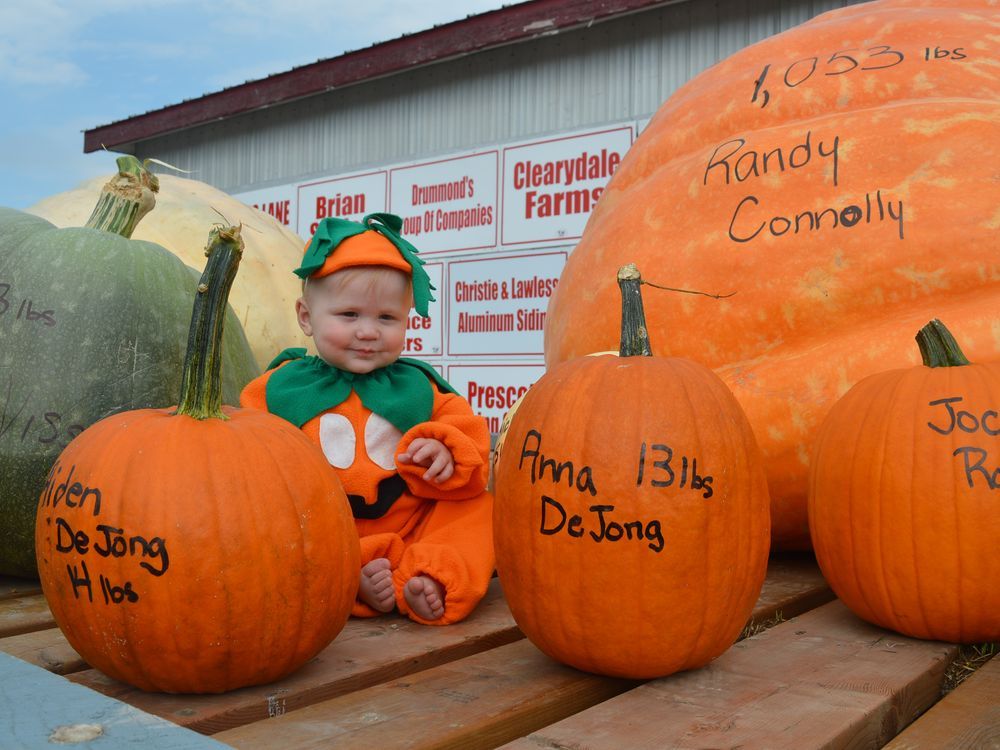 Spencerville Fair returns with full schedule Brockville Recorder & Times