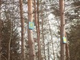 Two sunflower paintings decorating nature trail The Peanut Line on Tuesday May 3, 2022 in Williamstown, Ont. Laura Dalton/Cornwall Standard-Freeholder/Postmedia Network