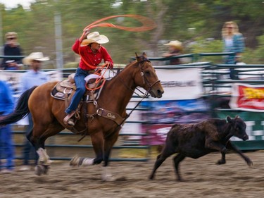 A rider prepares to rope a calf at the Lions Club rodeo in Cochrane on Monday, Sept. 5, 2022.