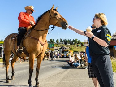 A horse smells a woman's hand at the labour day parade in Cochrane on Monday, Sept. 5, 2022.