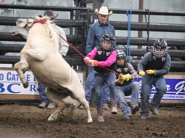 The Wild Pony races at the Hanna Indoor Pro Rodeo were a success with the ponies doing their best to prevent from being ridden at the Hanna Arena in Hanna, Alta. on Sept. 17. The event was well attended by spectators and participants alike. Jackie Irwin/Postmedia
