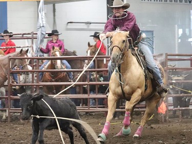 The stock was feisty Hanna Indoor Pro Rodeo at the Hanna Arena in Hanna, Alta. on Sept. 17 as cowboys and cowgirls from all over the world descended for the second day of rodeo. The event was well attended by spectators and participants alike. Jackie Irwin/Postmedia