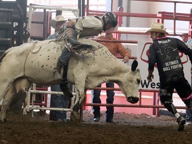 It was a busy second day at the Hanna Indoor Pro Rodeo at the Hanna Arena in Hanna, Alta. on Sept. 17 as cowboys and cowgirls from all over the world took part in the slack and second official day of the rodeo. Jackie Irwin/Postmedia