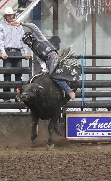 Tanner Eno of Coronation, Alta rode his way into first place in the Bull Riding at the Hanna Indoor Pro Rodeo at the Hanna Arena in Hanna, Alta. on Sept. 17, with a final score of 85 points on Big Stone Rodeo's 8681 Steve French. Jackie Irwin/Postmedia